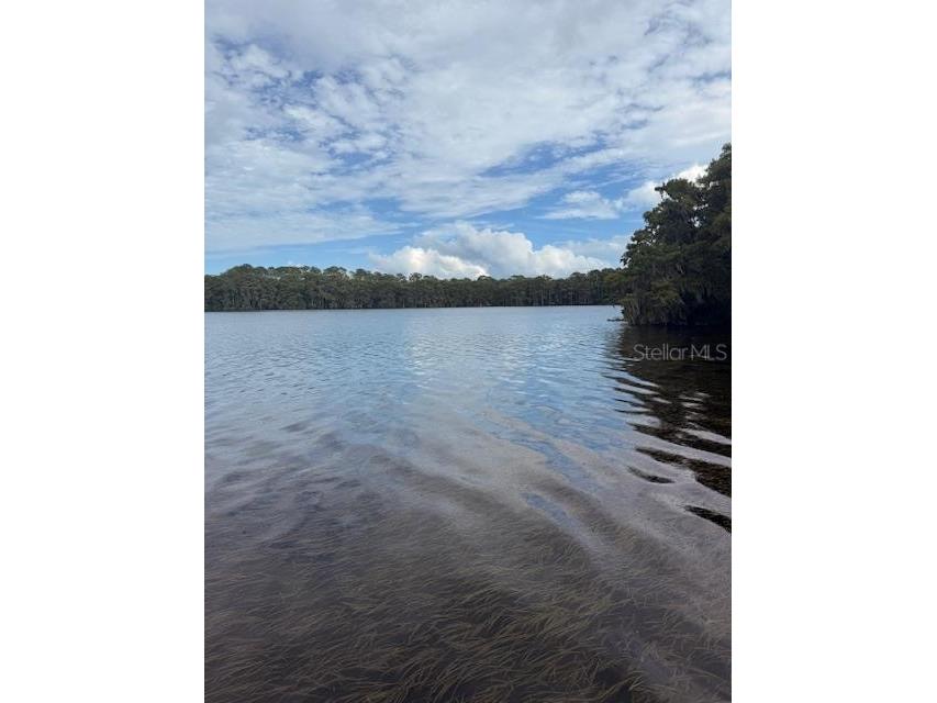 1174 Wildmeadow Run Winter Park FL 32792 - LAKE HOWELL O6341520 image47