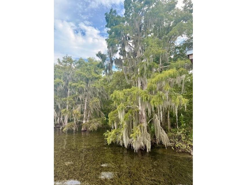 1174 Wildmeadow Run Winter Park FL 32792 - LAKE HOWELL O6341520 image48