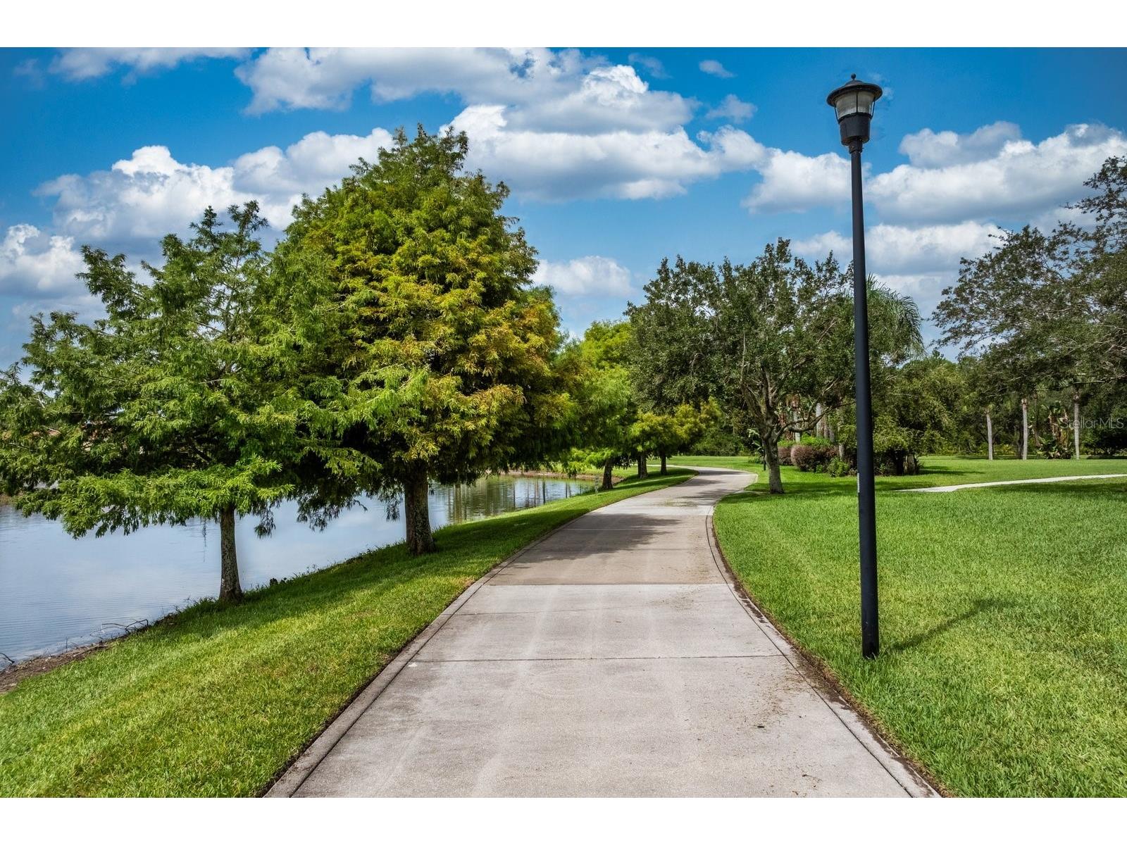11740 Astilbe Drive Orlando FL 32827 O6424826 image34