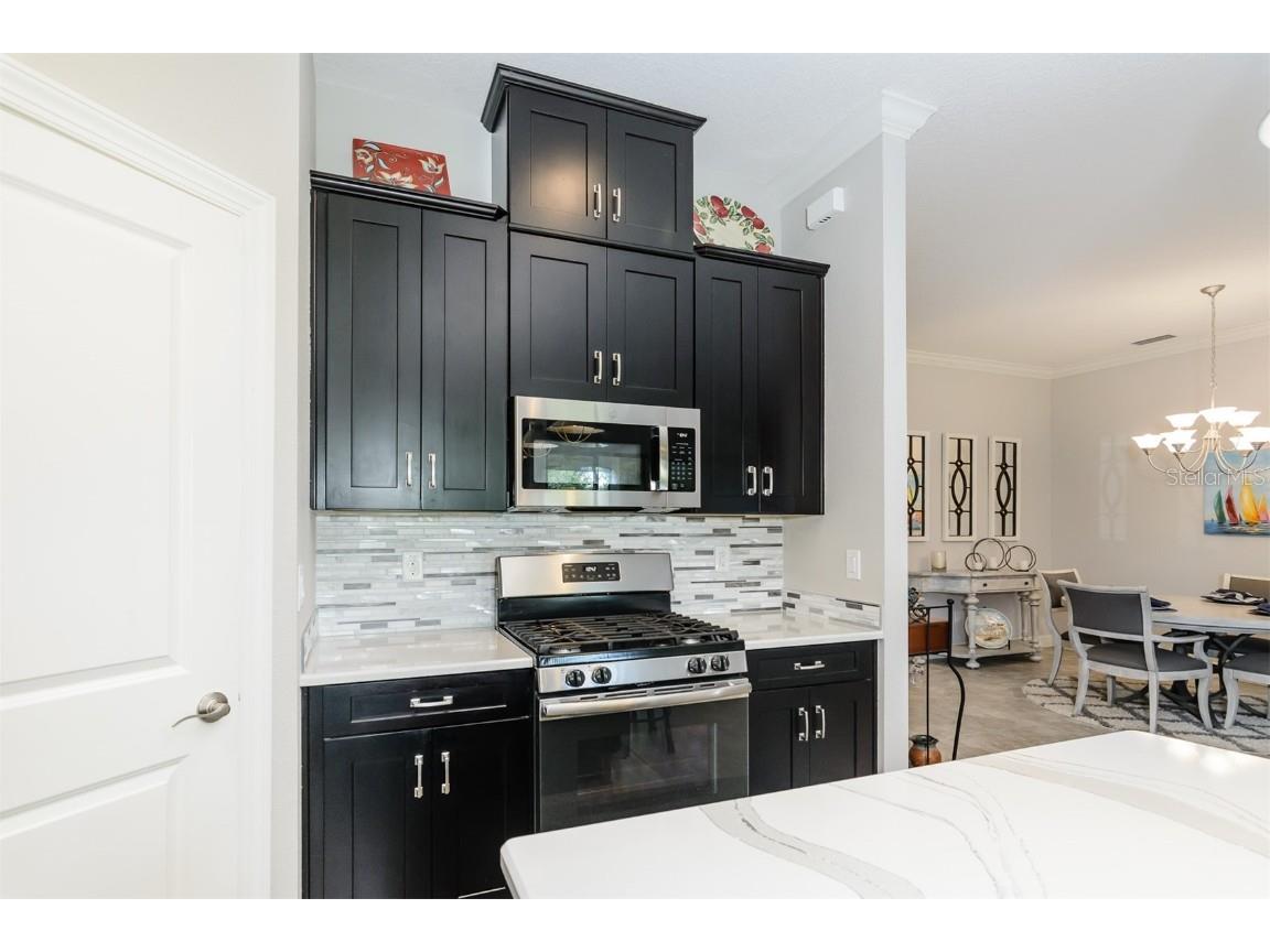 11740 Bitola Drive Odessa FL 33556 TB8419907 image12