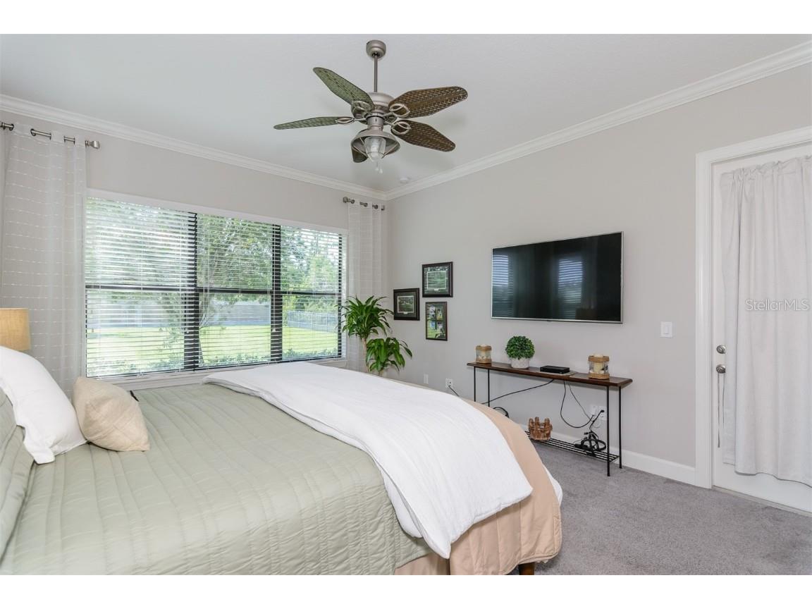 11740 Bitola Drive Odessa FL 33556 TB8419907 image24