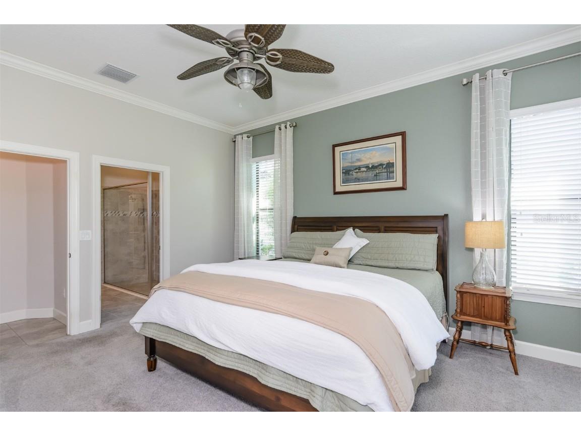 11740 Bitola Drive Odessa FL 33556 TB8419907 image25