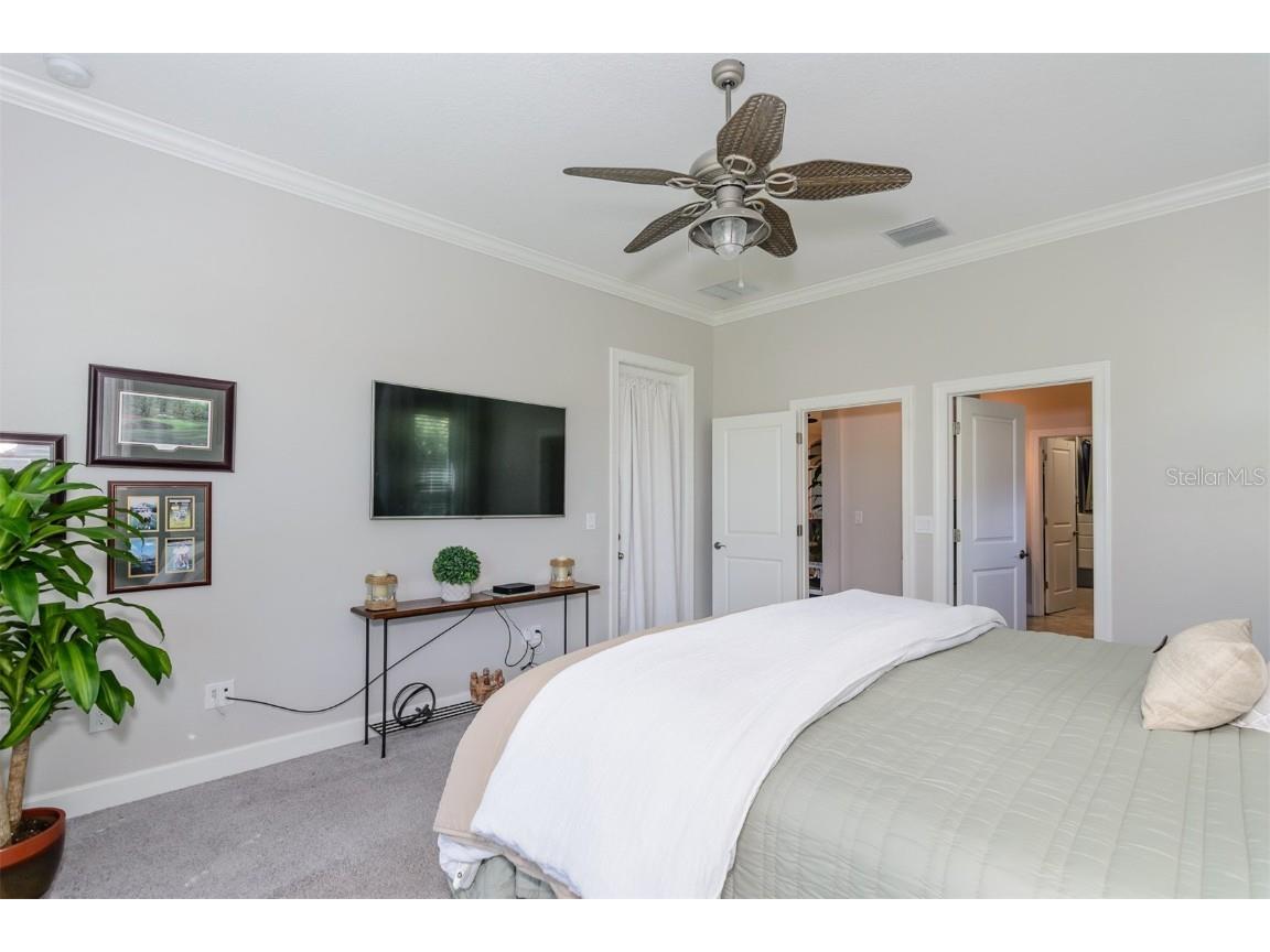 11740 Bitola Drive Odessa FL 33556 TB8419907 image26