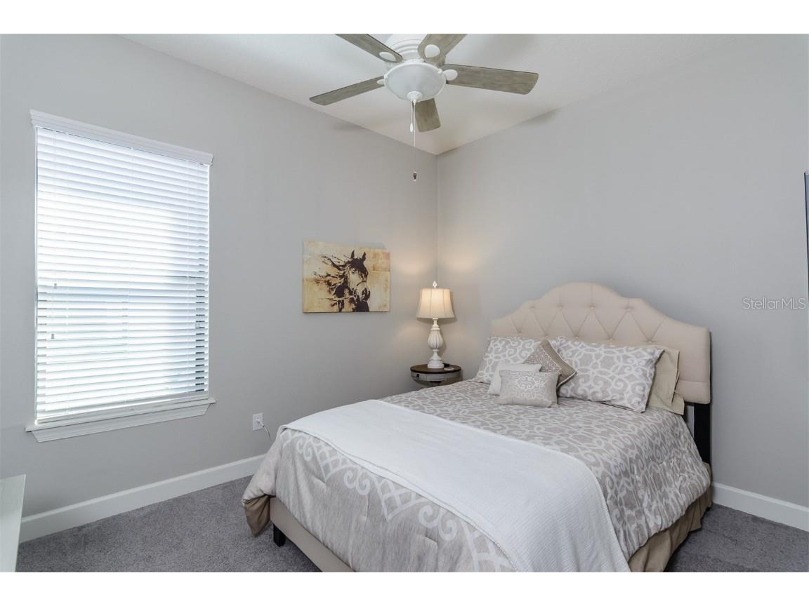 11740 Bitola Drive Odessa FL 33556 TB8419907 image37