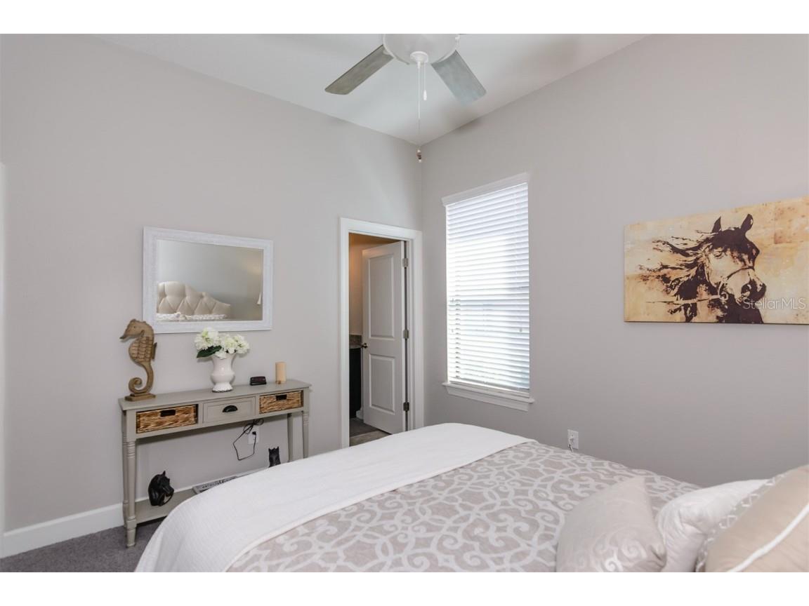 11740 Bitola Drive Odessa FL 33556 TB8419907 image39