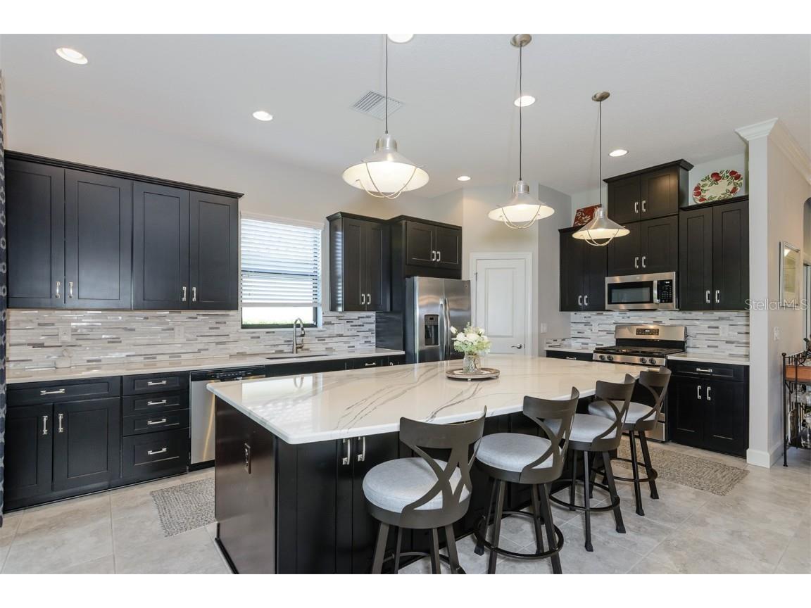 11740 Bitola Drive Odessa FL 33556 TB8419907 image4