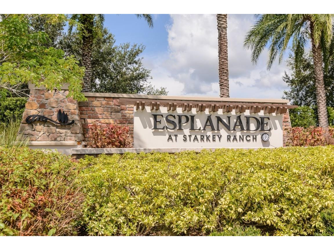 11740 Bitola Drive Odessa FL 33556 TB8419907 image46