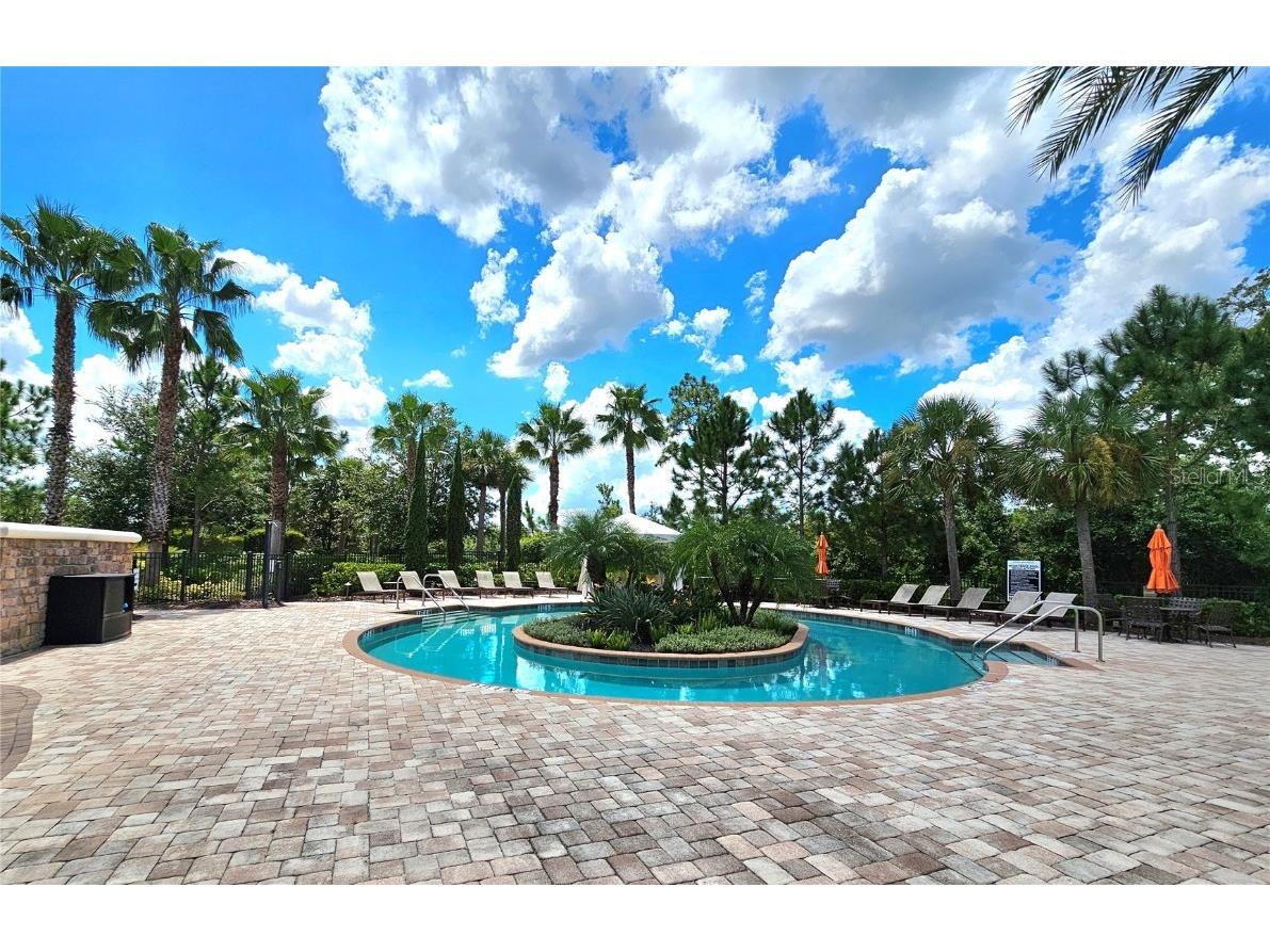 11740 Bitola Drive Odessa FL 33556 TB8419907 image54