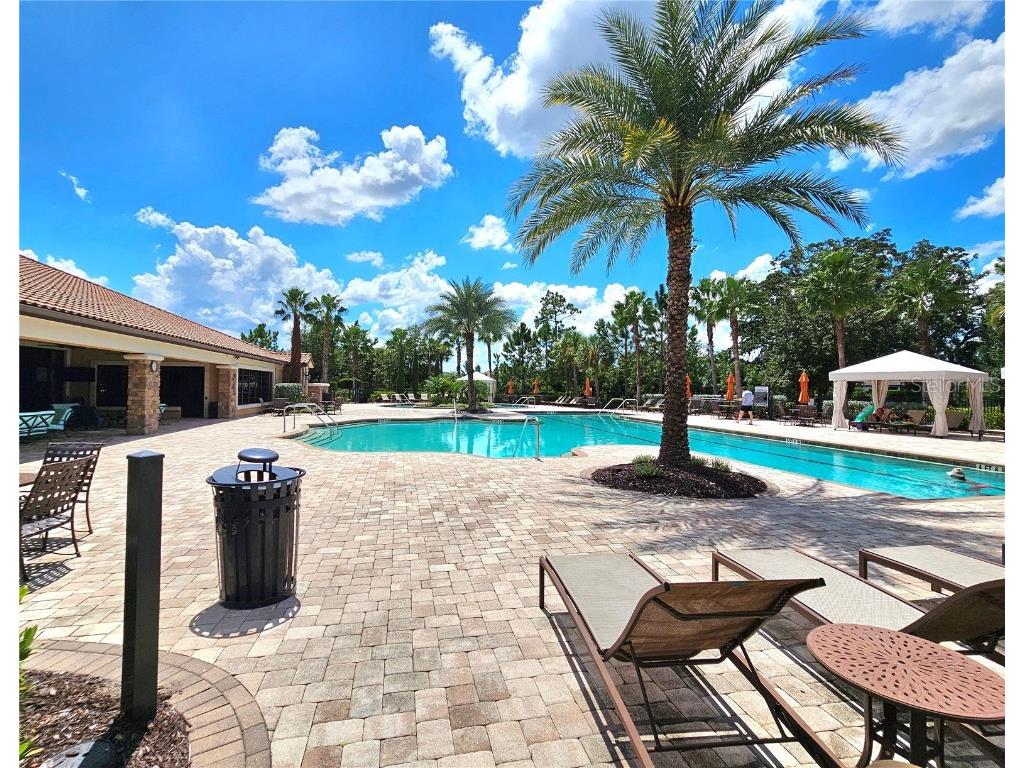 11740 Bitola Drive Odessa FL 33556 TB8419907 image56