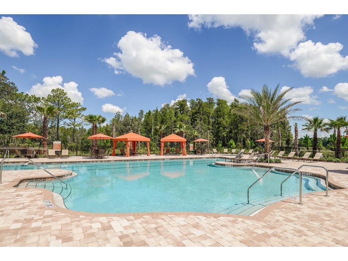 11740 Bitola Drive Odessa FL 33556 TB8419907 image57