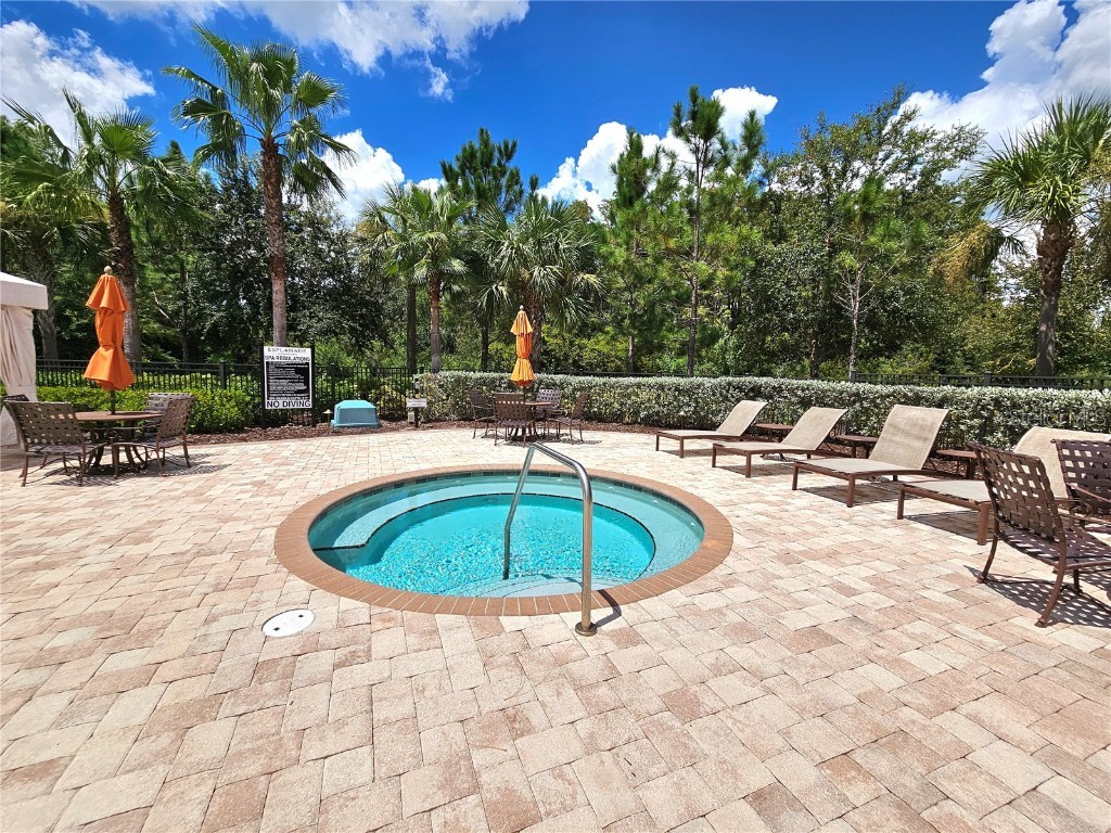 11740 Bitola Drive Odessa FL 33556 TB8419907 image59