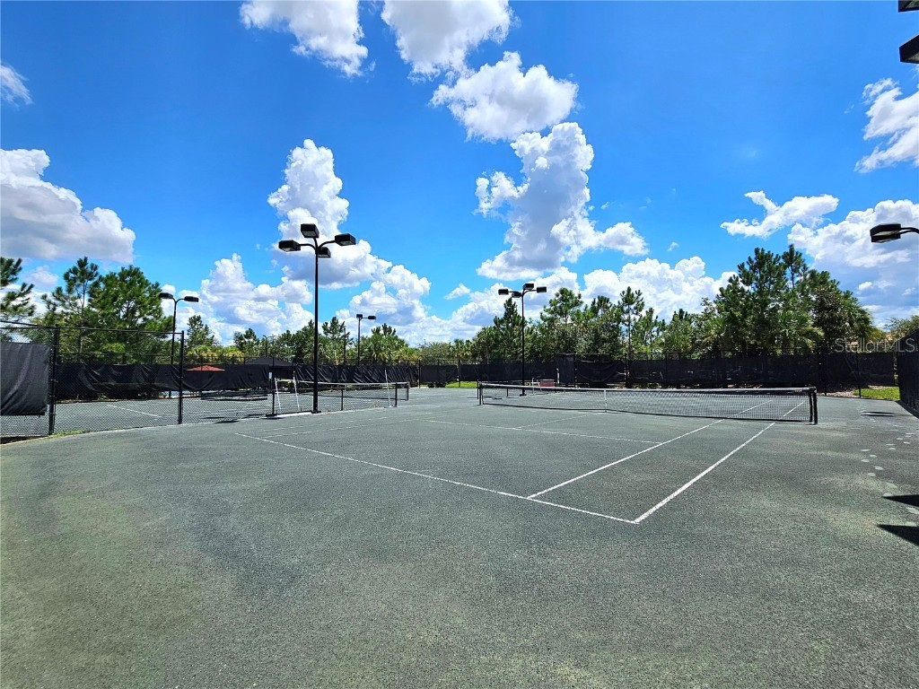 11740 Bitola Drive Odessa FL 33556 TB8419907 image64