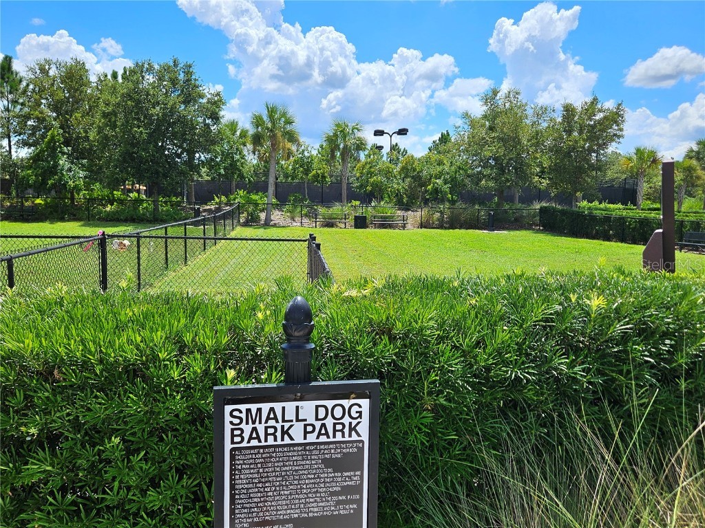 11740 Bitola Drive Odessa FL 33556 TB8419907 image70