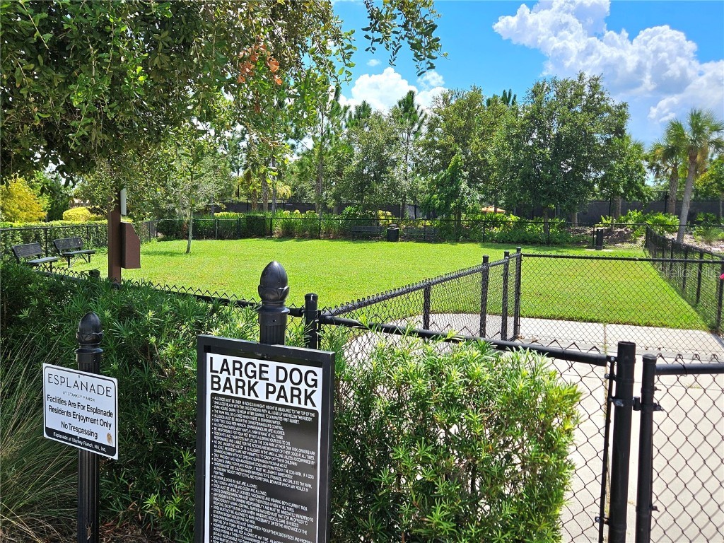 11740 Bitola Drive Odessa FL 33556 TB8419907 image71