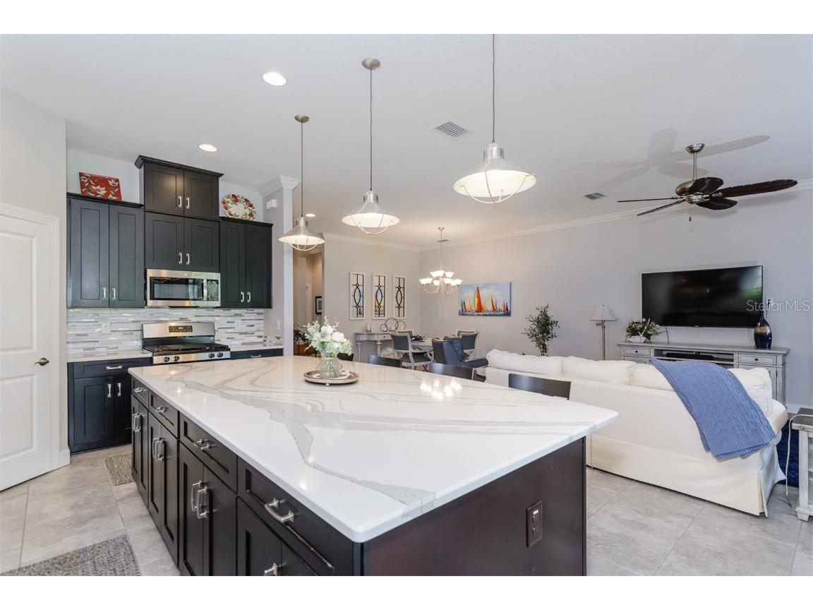 11740 Bitola Drive Odessa FL 33556 TB8419907 image9