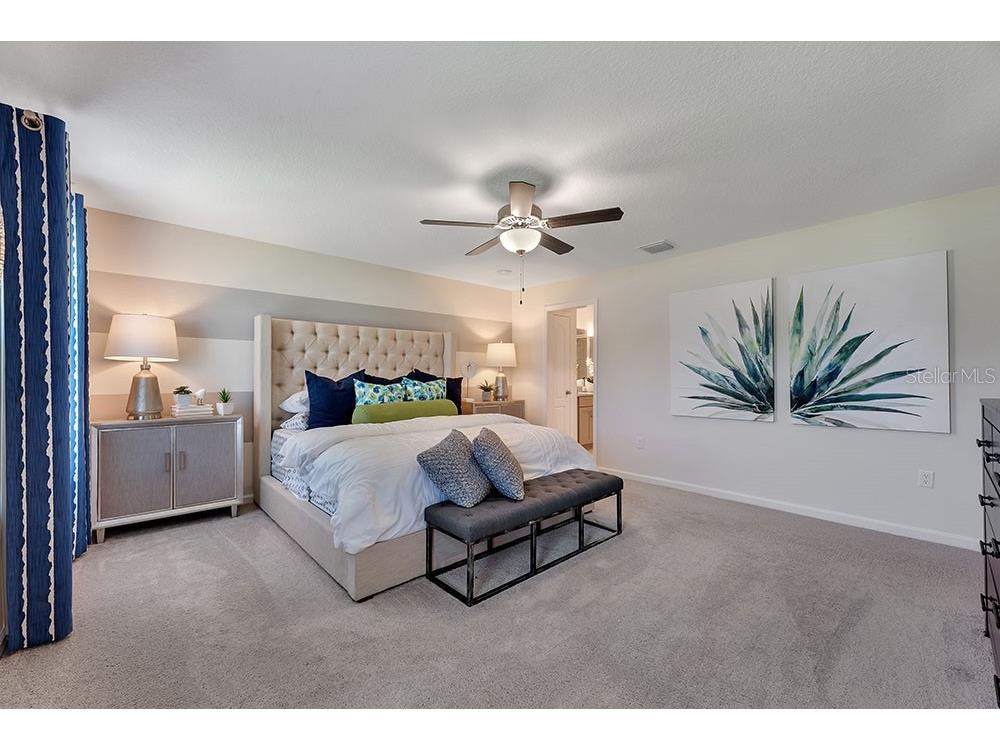 11740 Blackbrook Court Seffner FL 33584 O6359605 image10