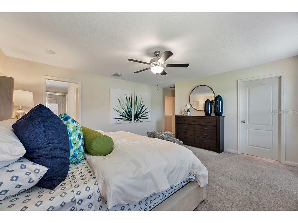 11740 Blackbrook Court Seffner FL 33584 O6359605 image11