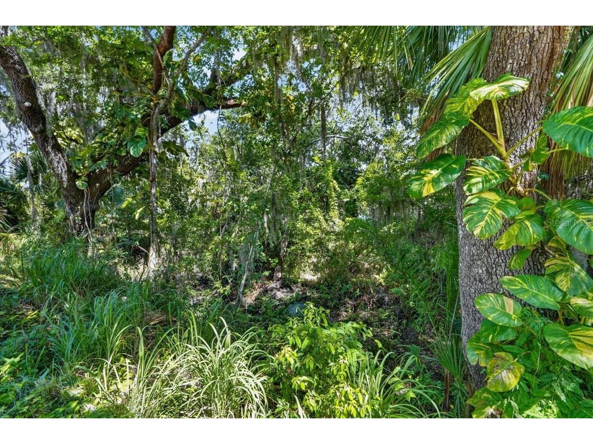 11740 Darsey Road Parrish FL 34219 A4698063 image52