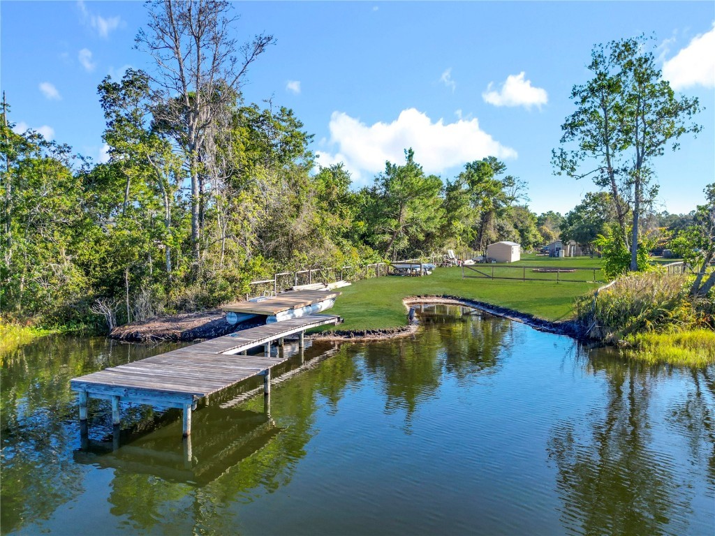 11740 SE 169th Avenue Road Ocklawaha FL 32179 - Bear Lake OM712150 image3