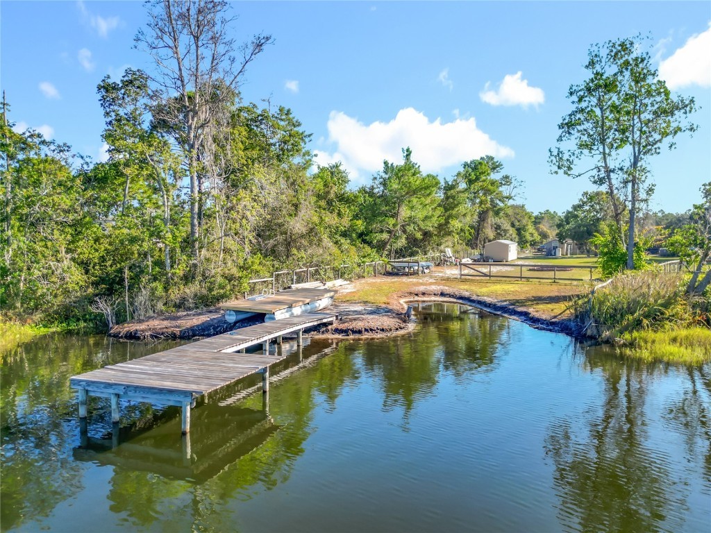 11740 SE 169th Avenue Road Ocklawaha FL 32179 - Bear Lake OM712150 image60