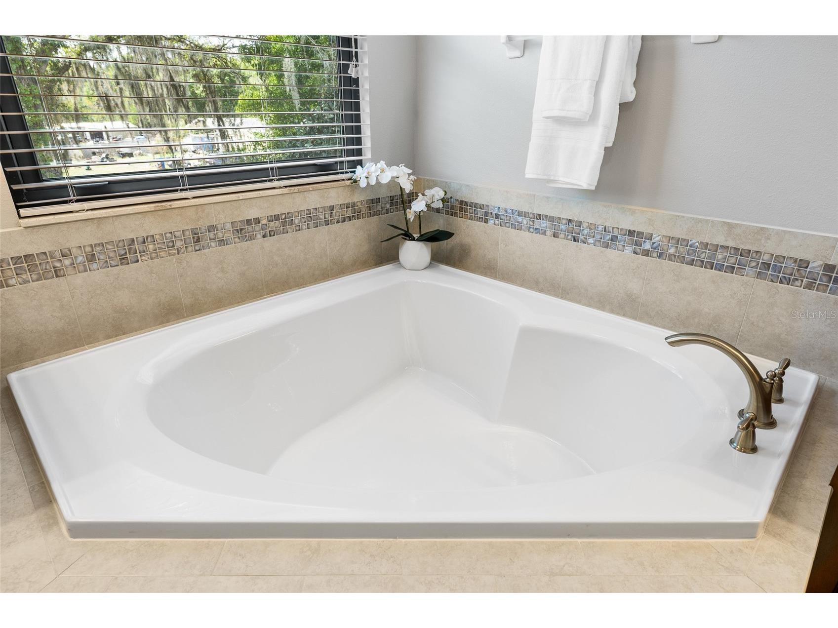 11741 Albatross Lane Riverview FL 33569 TB8483087 image39