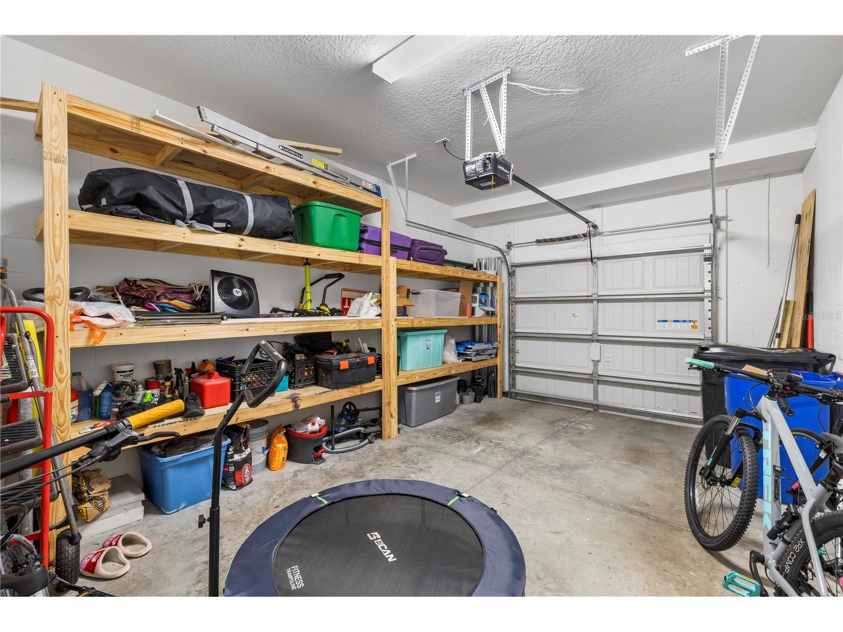 11742 Castine Street New Port Richey FL 34654 TB8517914 image20