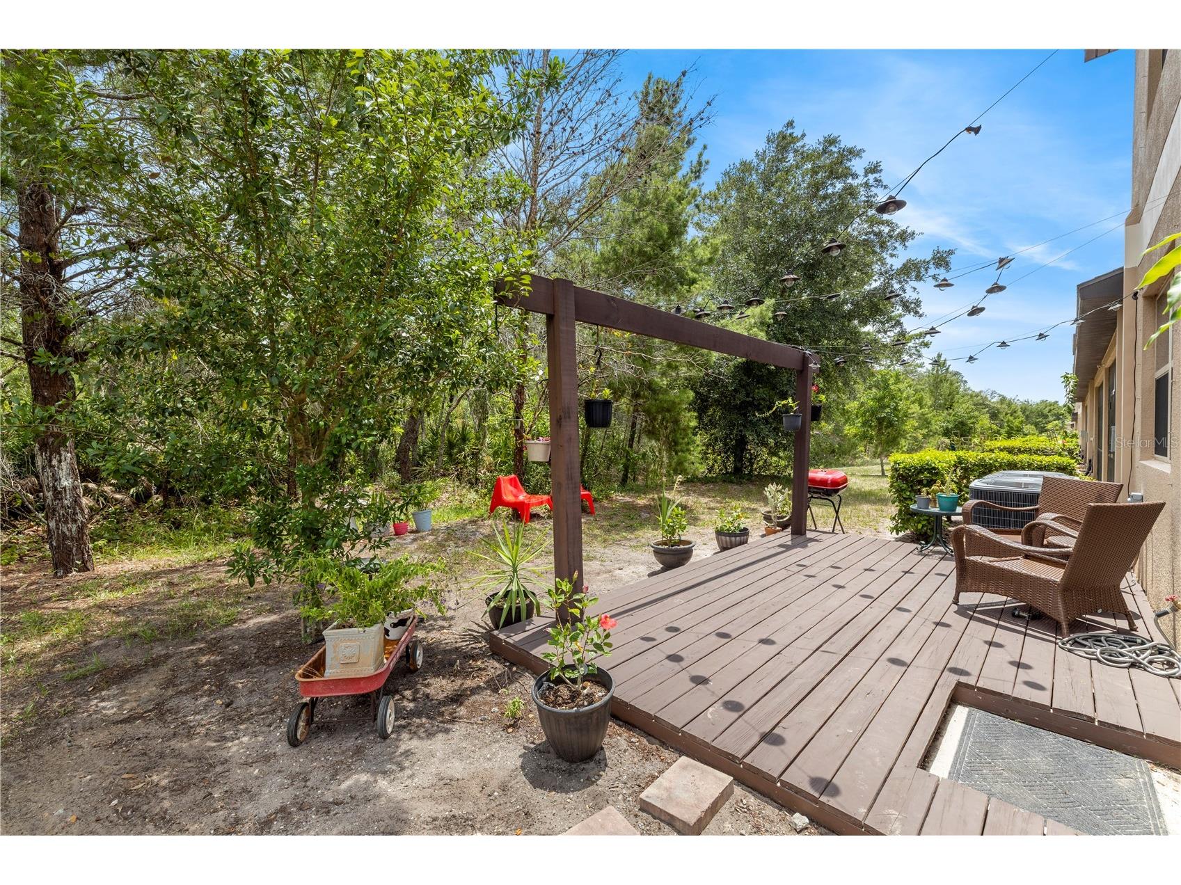 11742 Castine Street New Port Richey FL 34654 TB8517914 image36