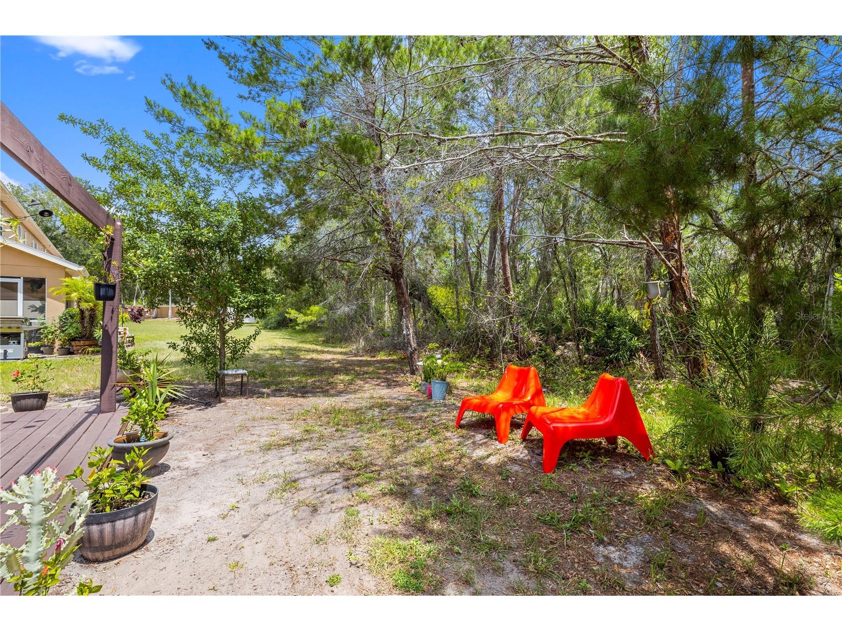 11742 Castine Street New Port Richey FL 34654 TB8517914 image38