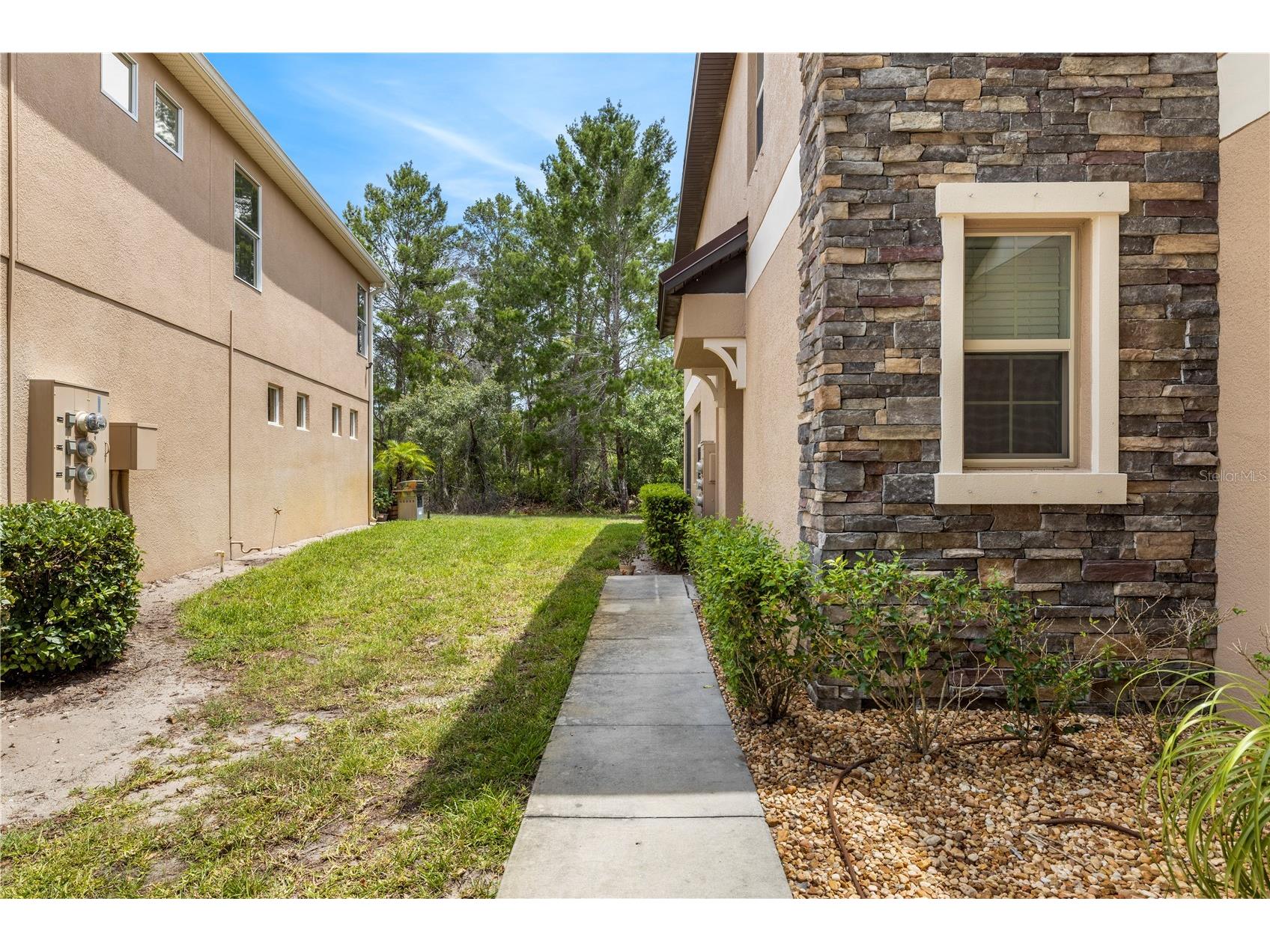 11742 Castine Street New Port Richey FL 34654 TB8517914 image44