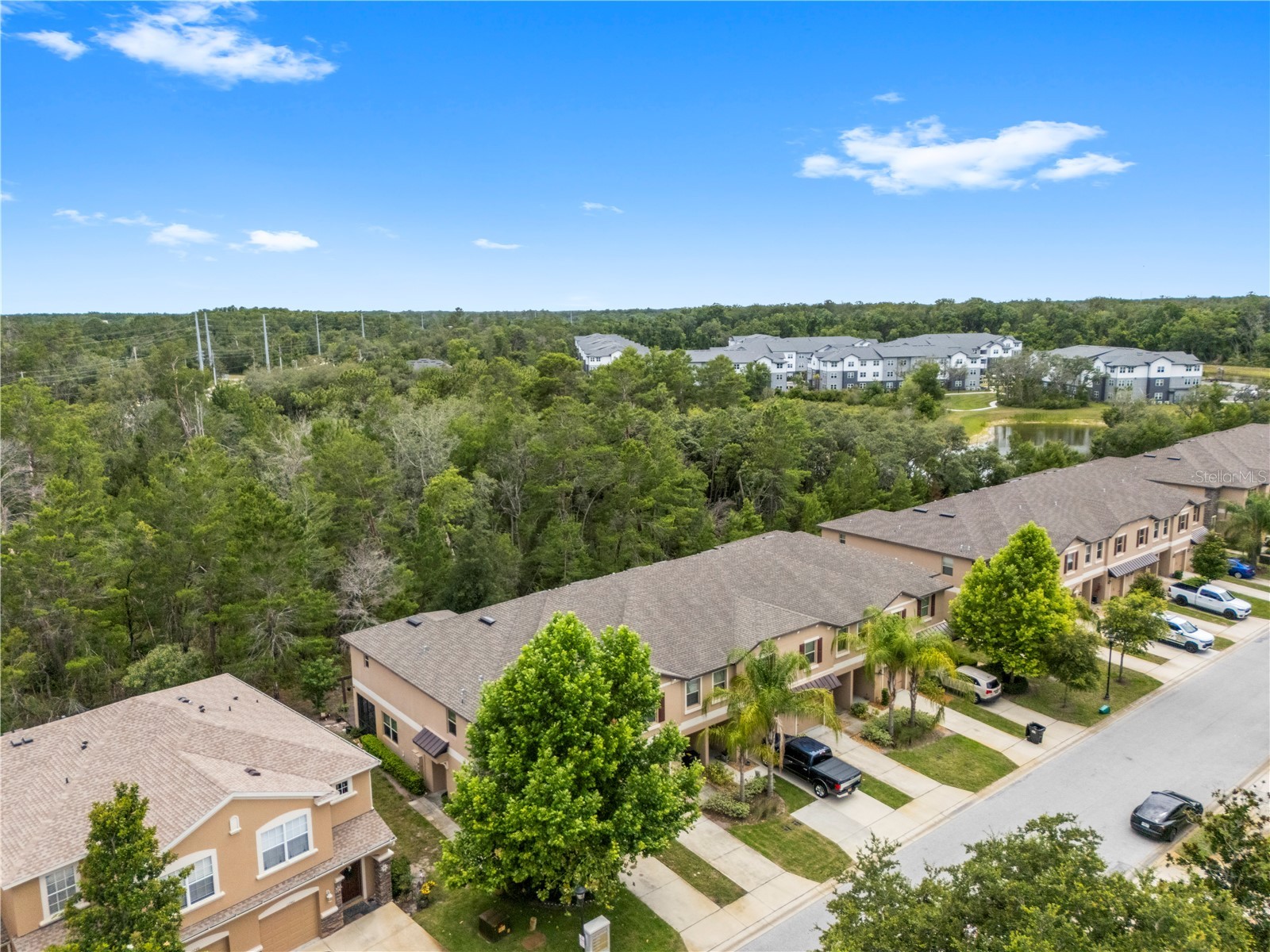 11742 Castine Street New Port Richey FL 34654 TB8517914 image48