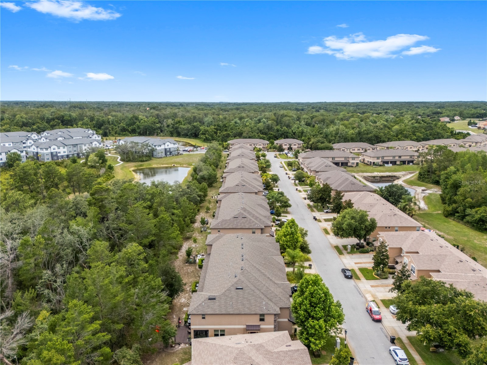 11742 Castine Street New Port Richey FL 34654 TB8517914 image49