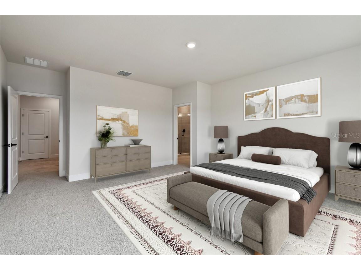 11742 Full Moon Loop Parrish FL 34219 TB8422208 image19