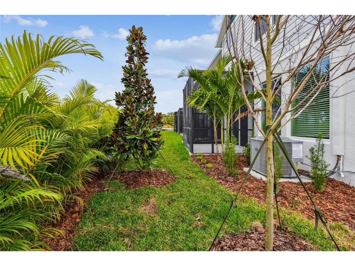 11742 Full Moon Loop Parrish FL 34219 TB8422208 image41