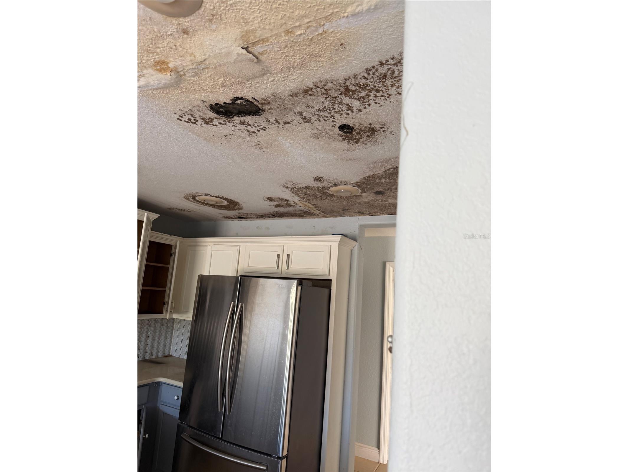 11742 Tempest Harbor Loop Venice FL 34292 A4695372 image3