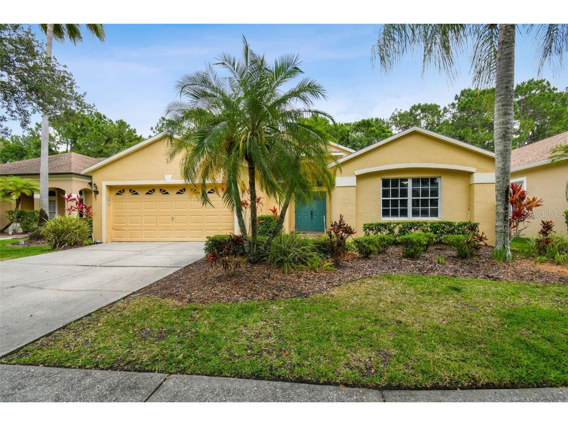 11743 Derbyshire Drive Tampa FL 33626 T3526153 image1