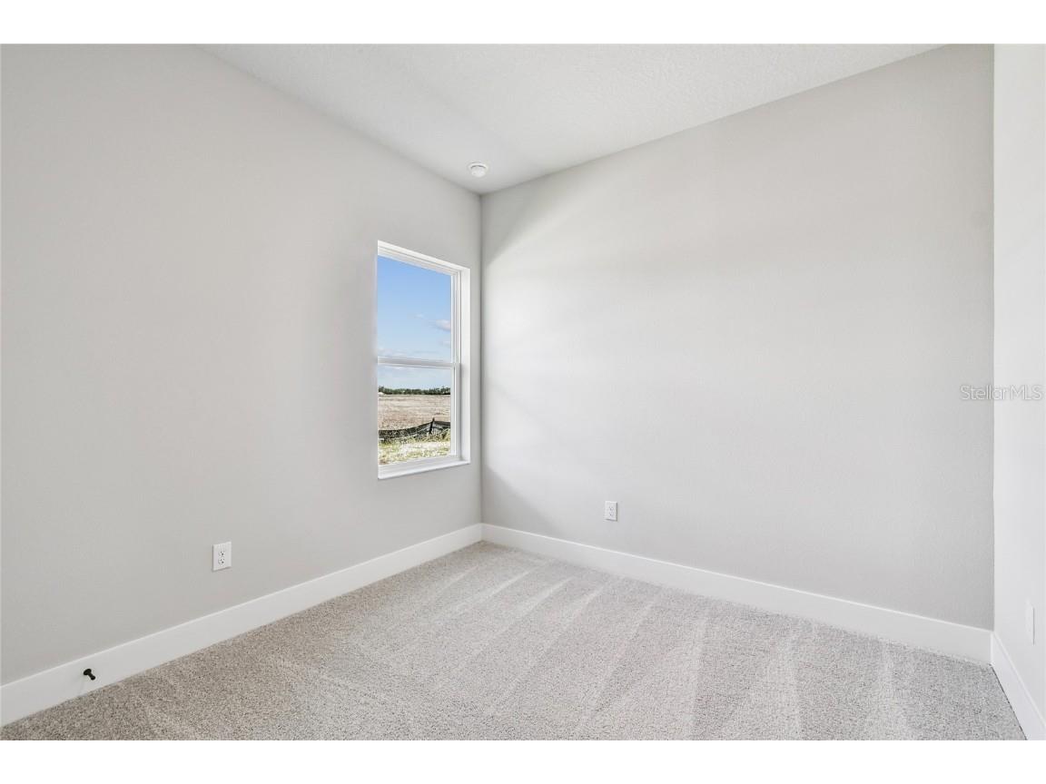 11743 Full Moon Loop Parrish FL 34219 TB8451895 image30