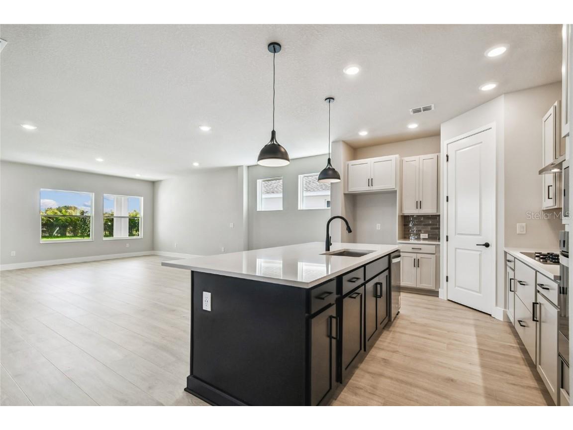 11743 Full Moon Loop Parrish FL 34219 TB8451895 image5