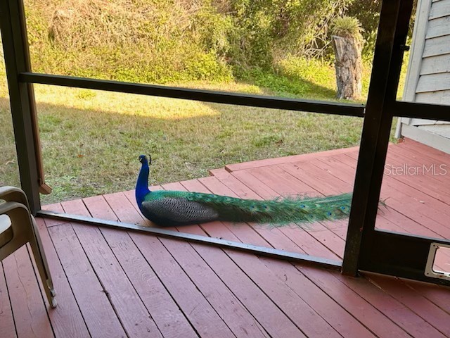 11743 Rolling Pine Lane Port Richey FL 34668 TB8348182 image22