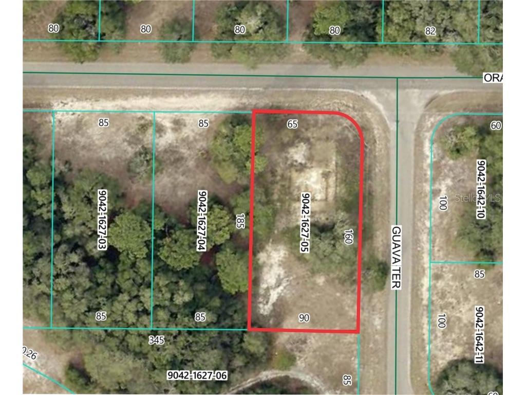 11745 Orange Road Ocklawaha FL 32179 O6368721 image1