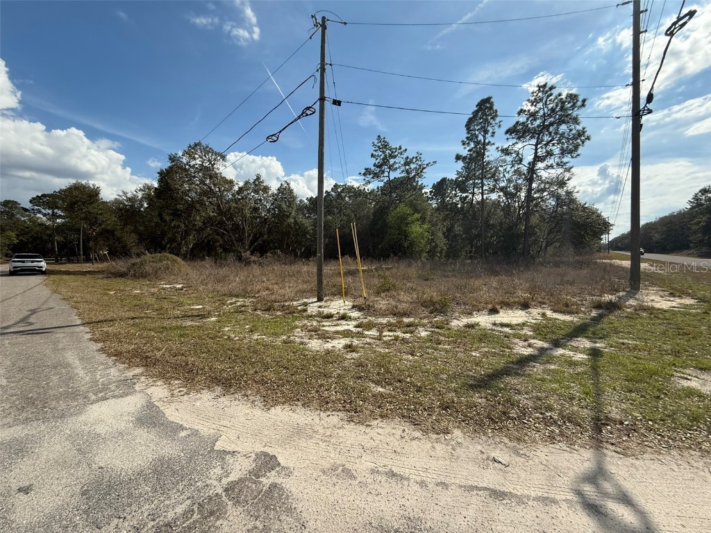 11745 Orange Road Ocklawaha FL 32179 O6368721 image2