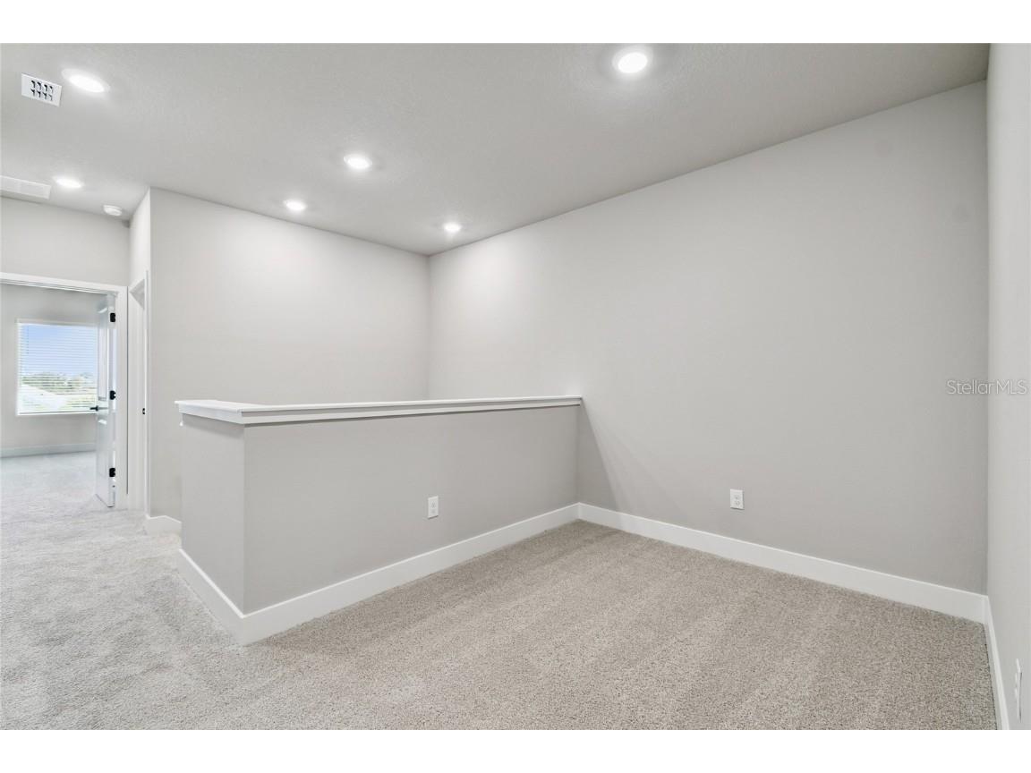 11746 Full Moon Loop Parrish FL 34219 TB8415591 image16