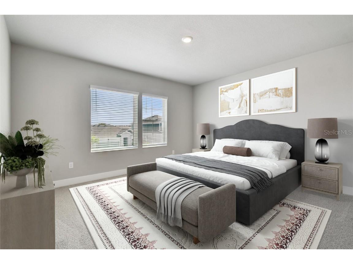 11746 Full Moon Loop Parrish FL 34219 TB8415591 image19