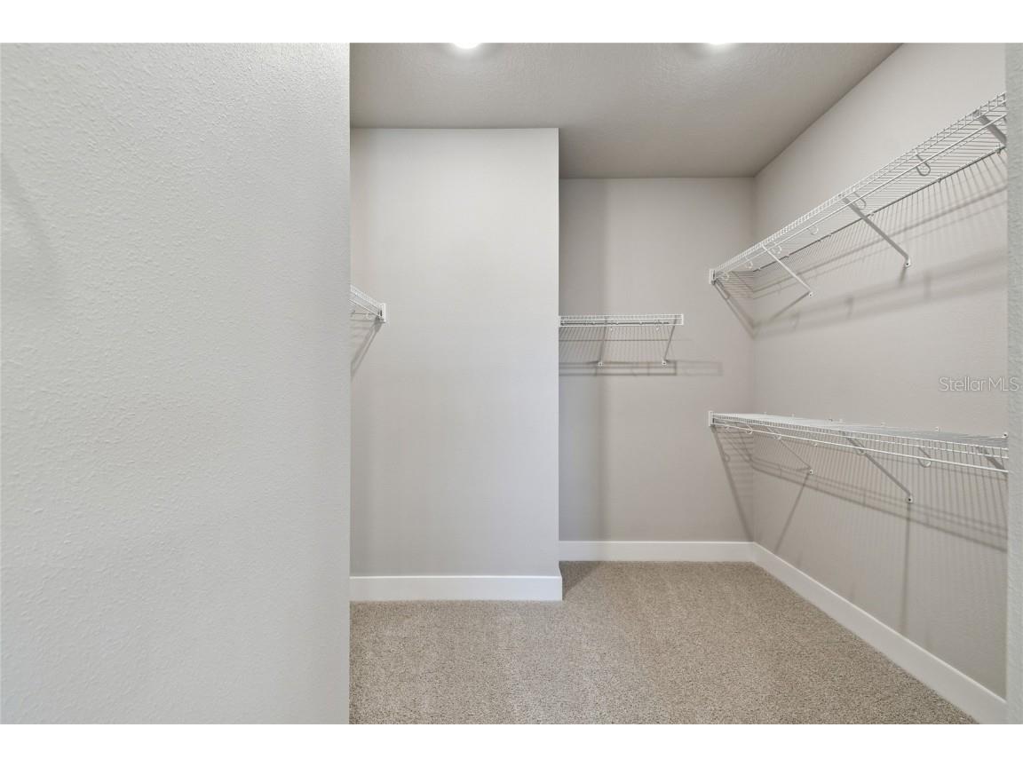 11746 Full Moon Loop Parrish FL 34219 TB8415591 image26