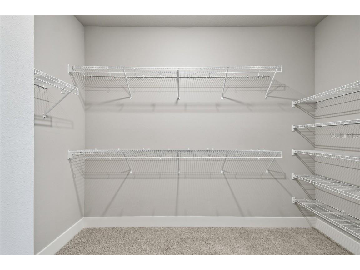 11746 Full Moon Loop Parrish FL 34219 TB8415591 image27