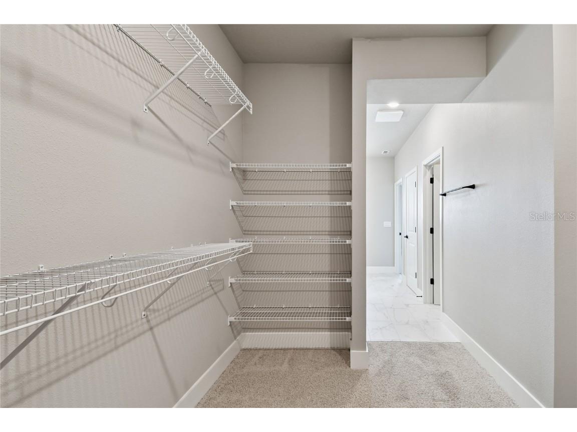 11746 Full Moon Loop Parrish FL 34219 TB8415591 image28