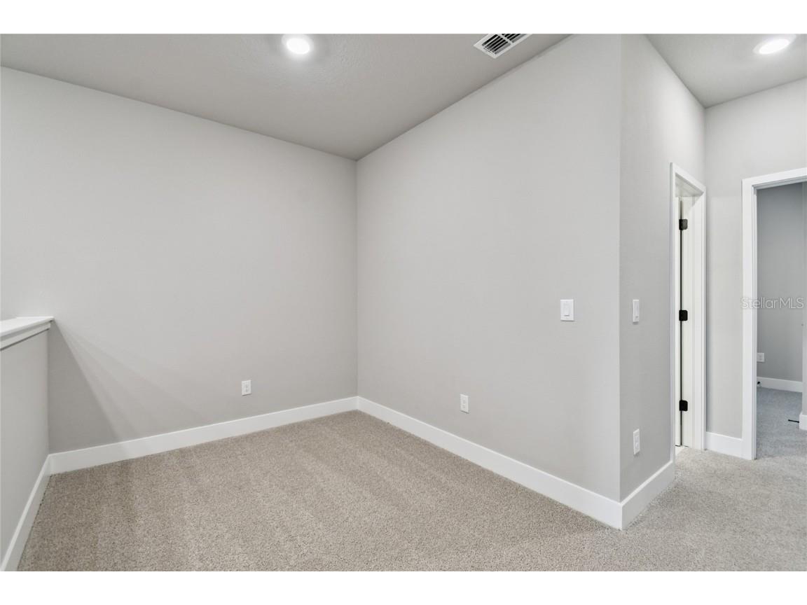 11746 Full Moon Loop Parrish FL 34219 TB8415591 image33