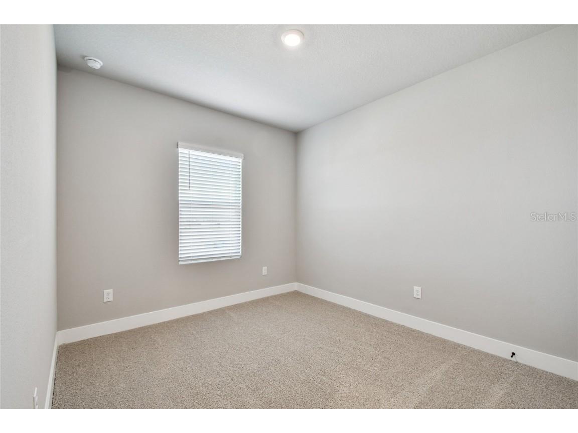 11746 Full Moon Loop Parrish FL 34219 TB8415591 image39