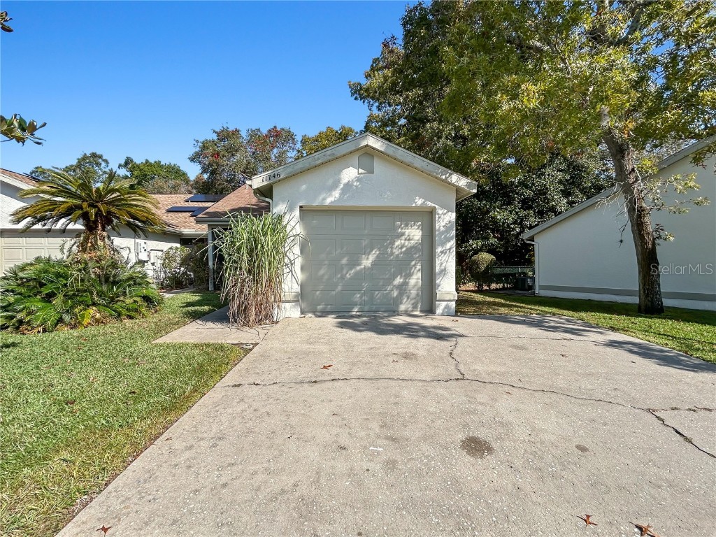11746 Spring Tree Lane Port Richey FL 34668 O6360619 image2