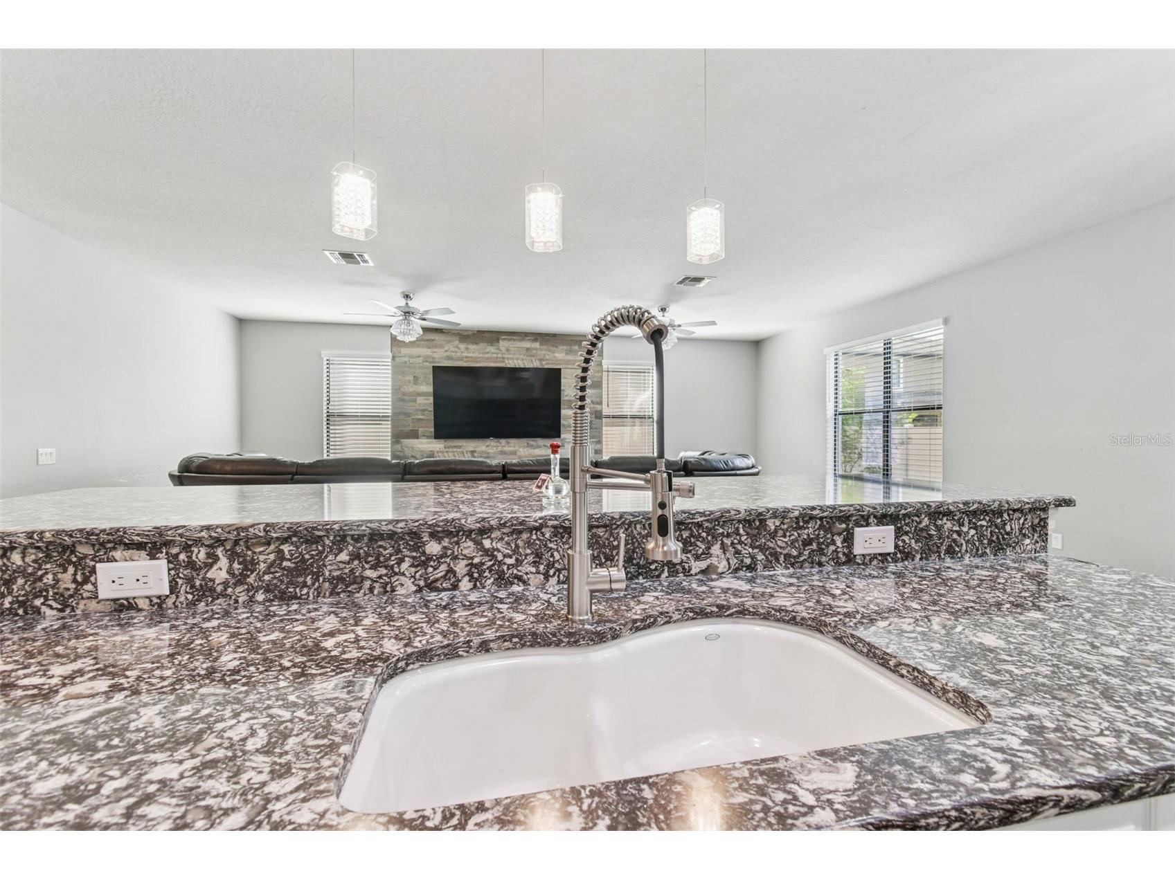 11748 Albatross Lane Riverview FL 33569 TB8449022 image30