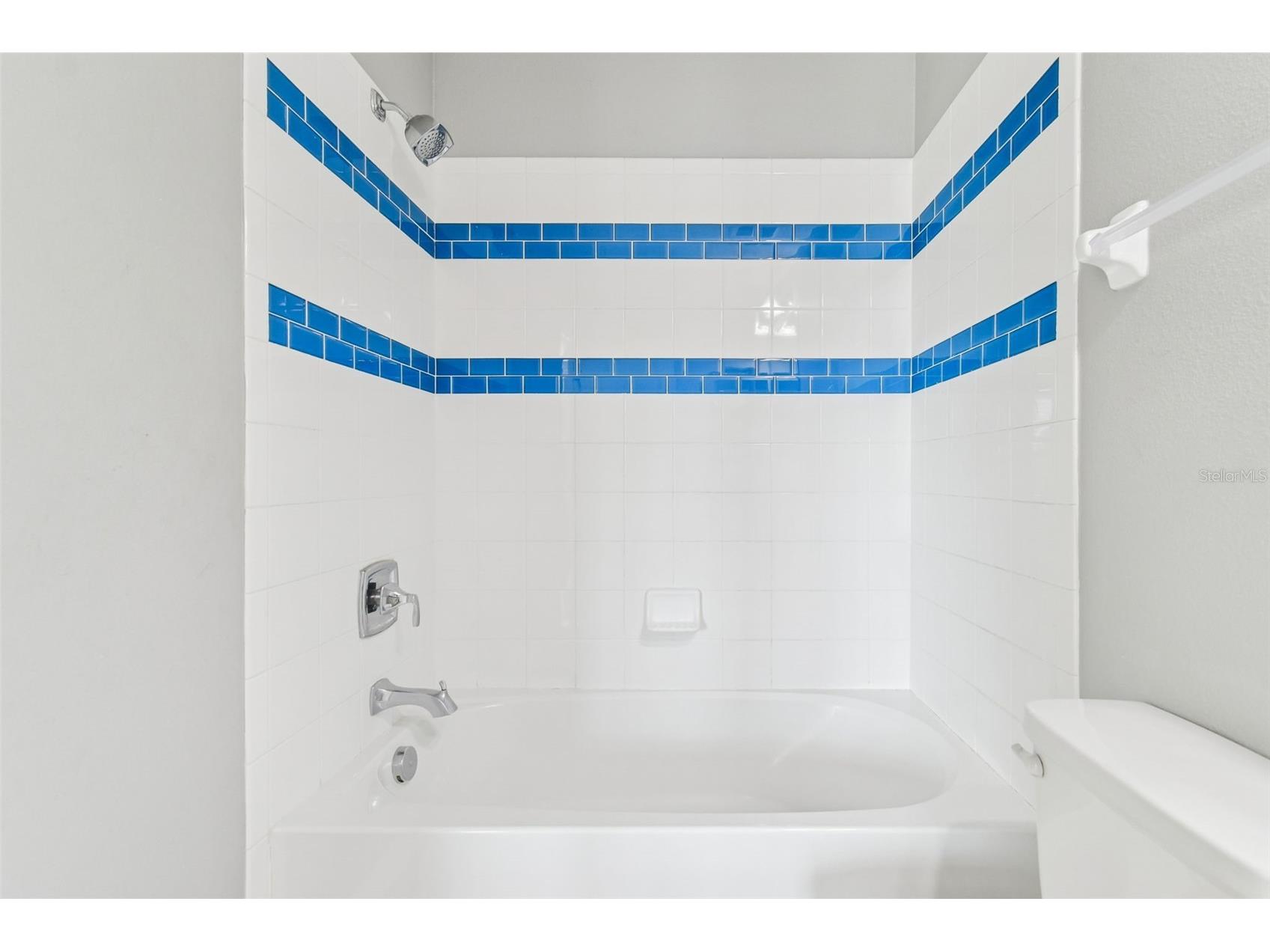 11748 Albatross Lane Riverview FL 33569 TB8449022 image45